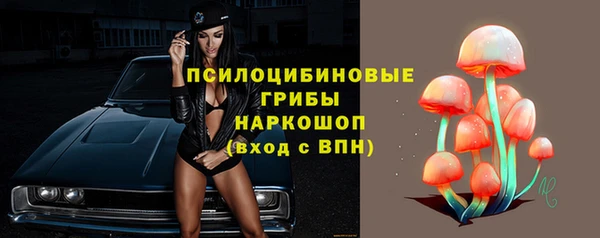 шишки Яранск