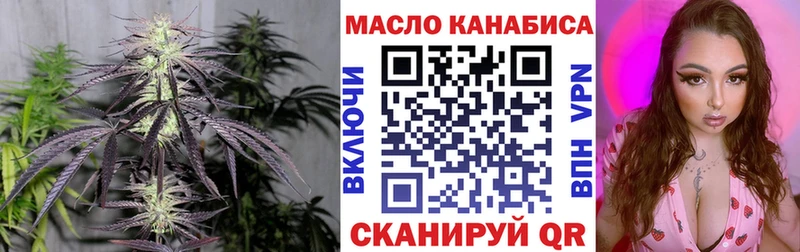 Купить где  Советск  ТГК концентрат 